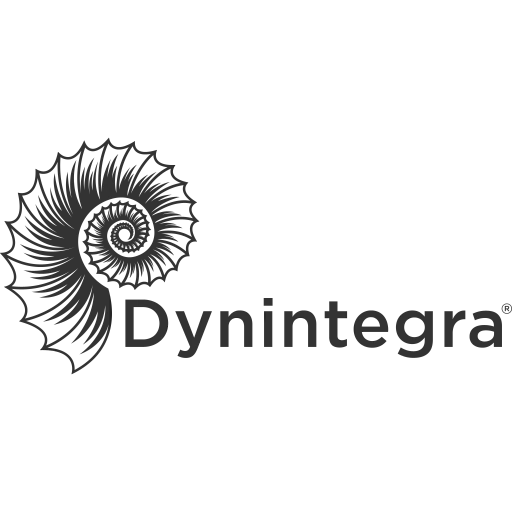 Studio Dynintegra Logo